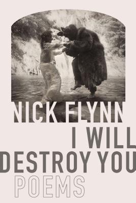 I Will Destroy You book cover