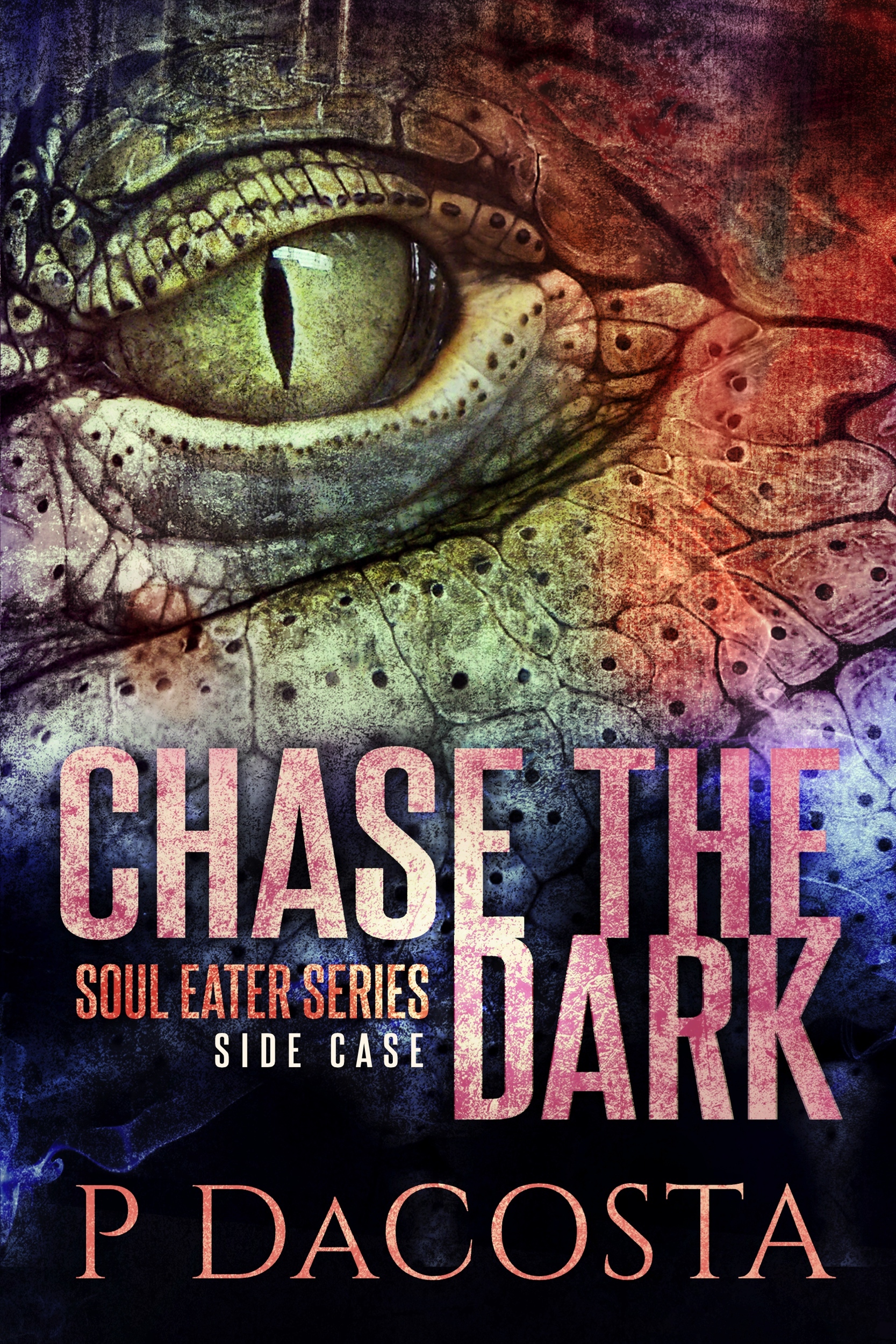 Chase The Dark book cover