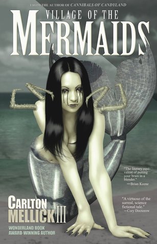 Village of the Mermaids book cover