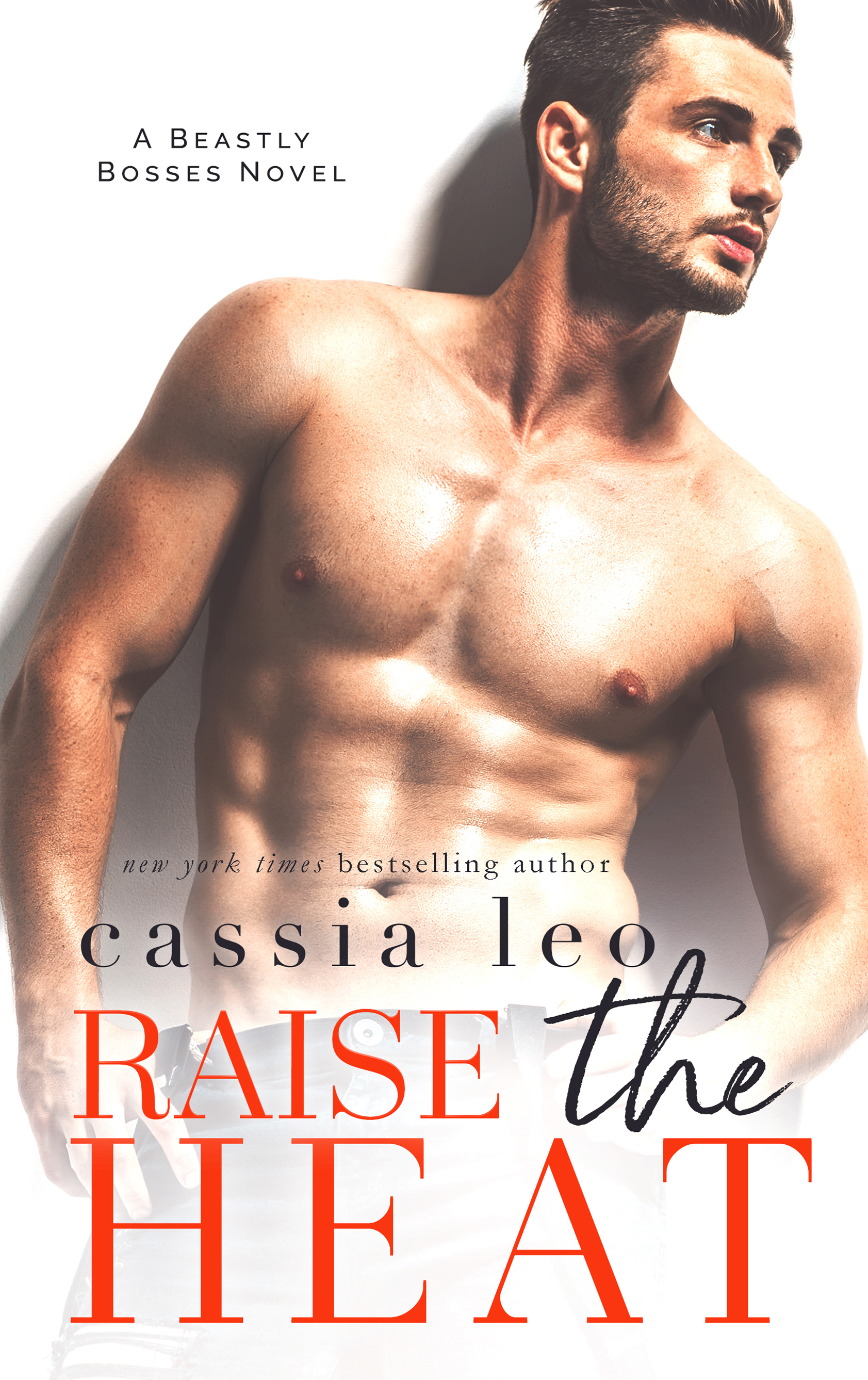 Raise the Heat book cover
