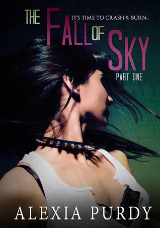 The Fall of Sky book cover 1