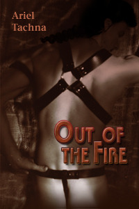 Out of the Fire book cover