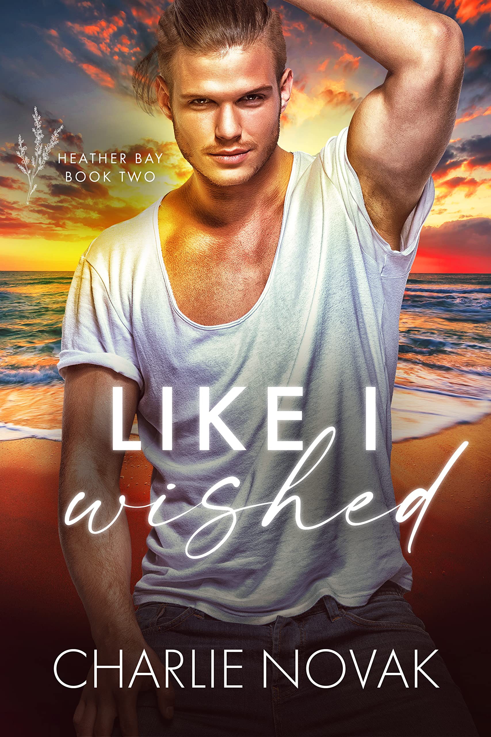 Like I Wished book cover
