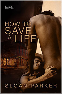 The Haven book cover 1