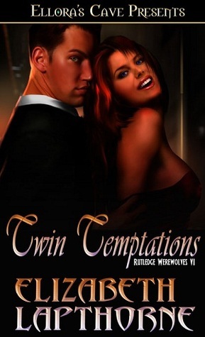 Twin Temptations book cover