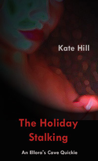 The Holiday Stalking book cover