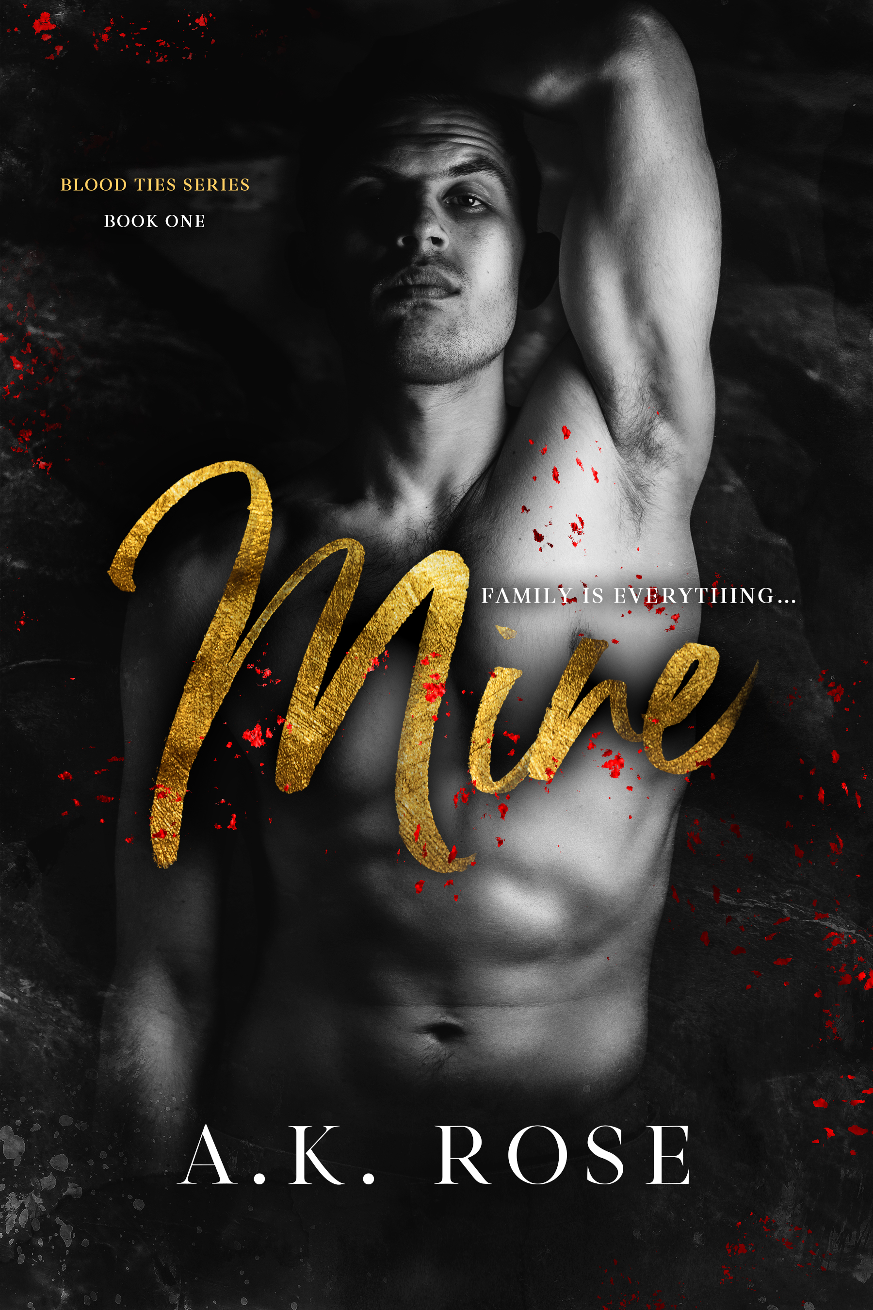 Blood Ties book cover 1