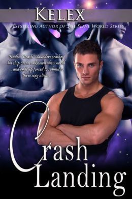 Quads of Alpha S book cover 1