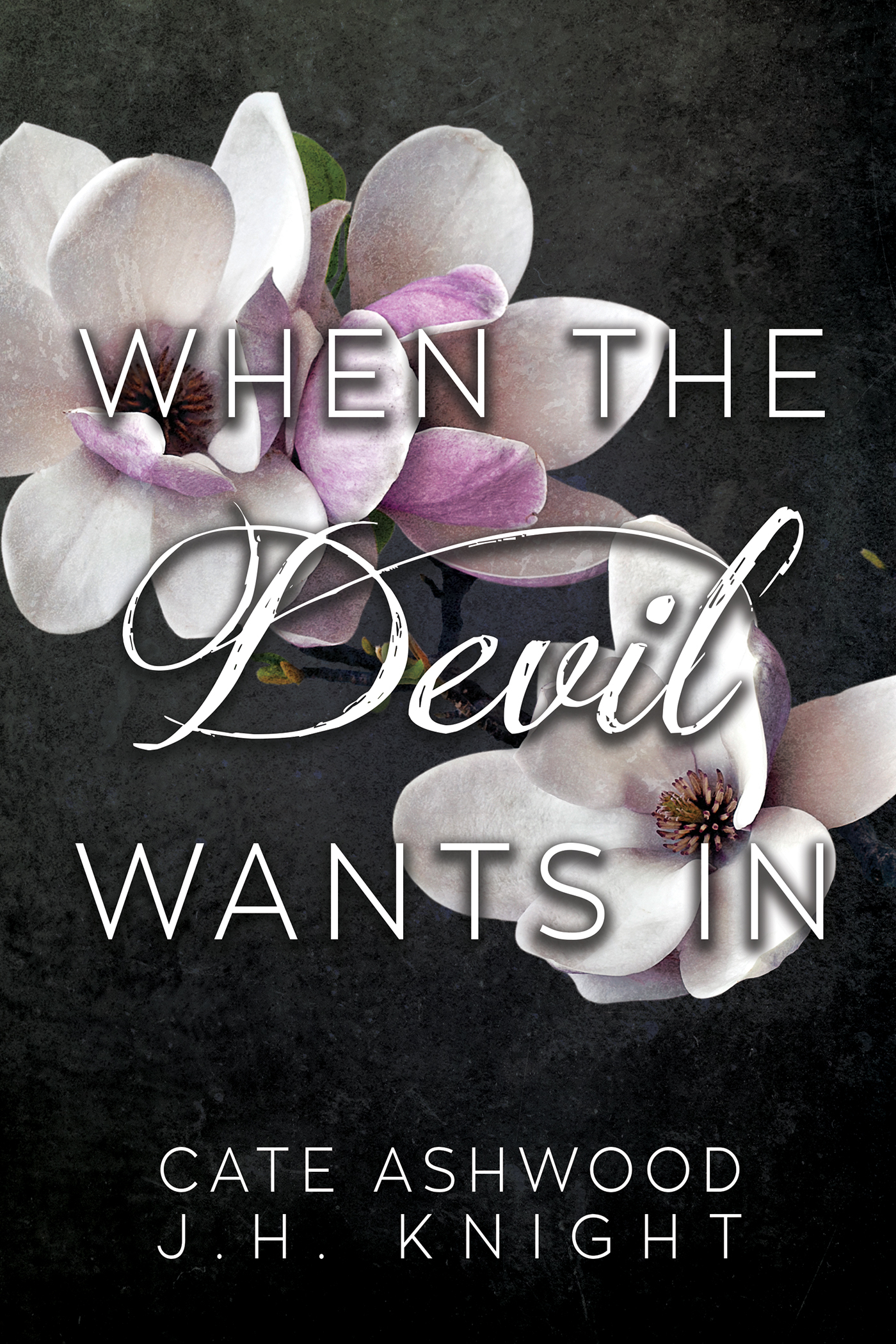 When the Devil Wants In book cover