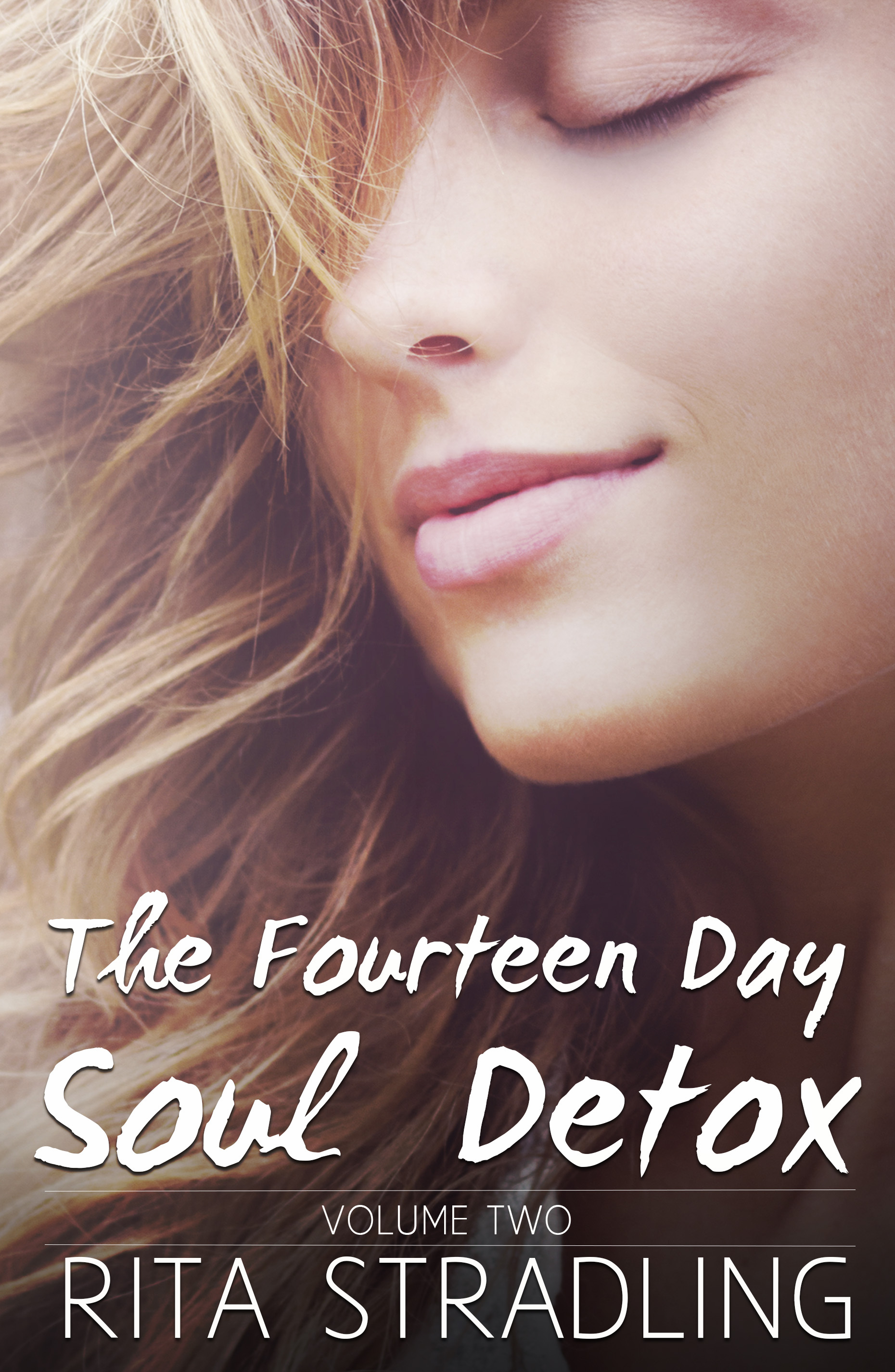 The Fourteen Day Soul Detox, Volume Two book cover