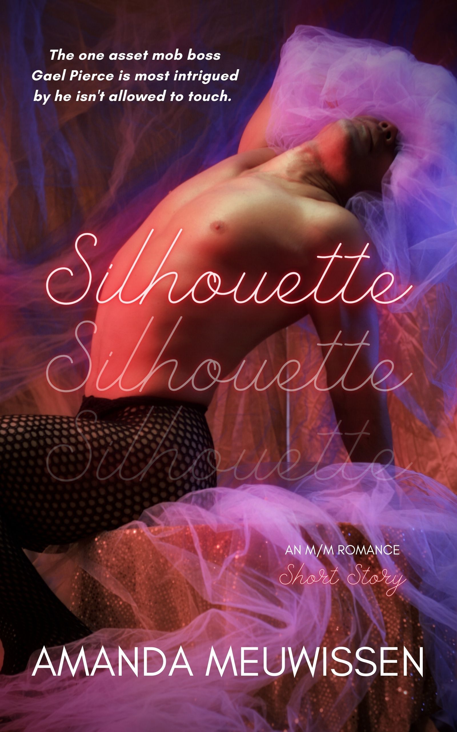 Silhouette book cover