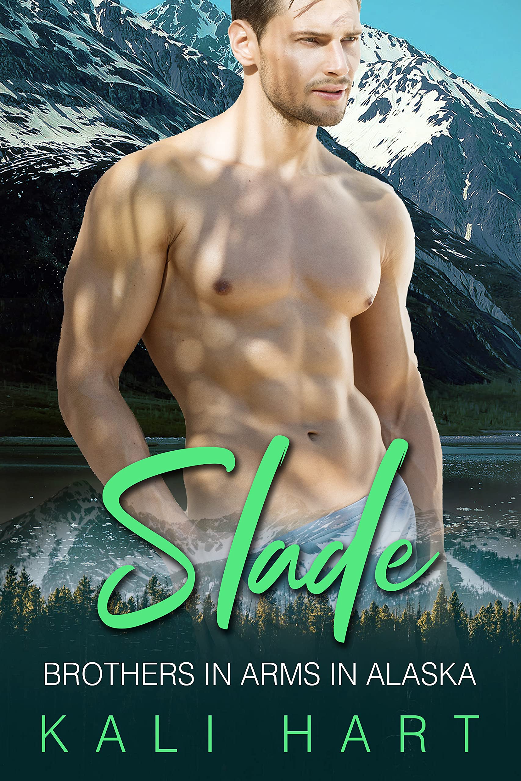 Slade book cover