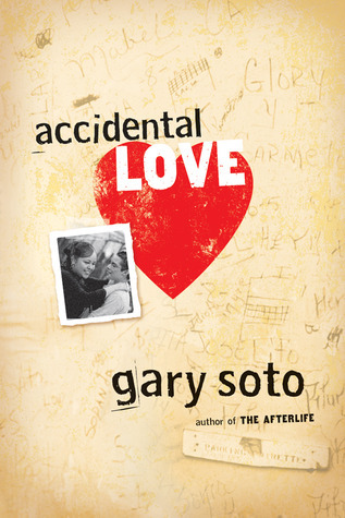 Accidental Love book cover