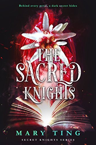 The Angel Knights book cover 3