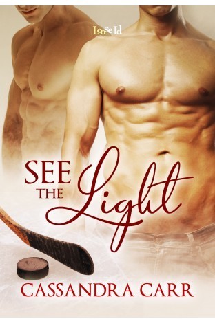 Safe Harbor book cover 1