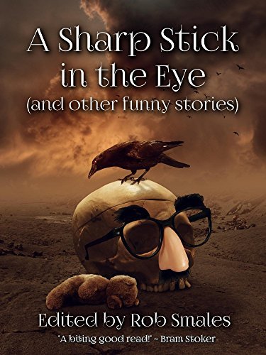 A Sharp Stick in the Eye book cover