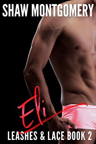 Leashes & Lace book cover 2