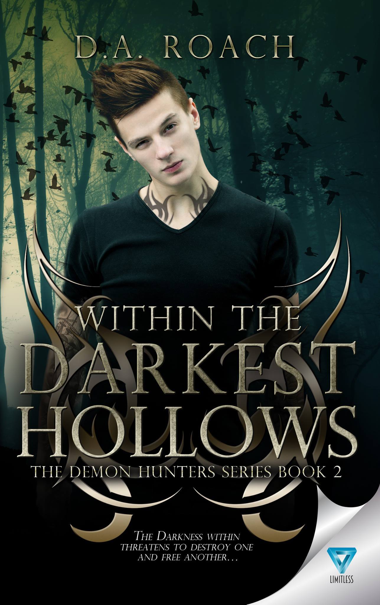 Demon Hunter book cover 2