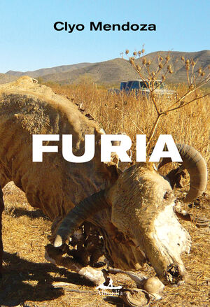Fury book cover