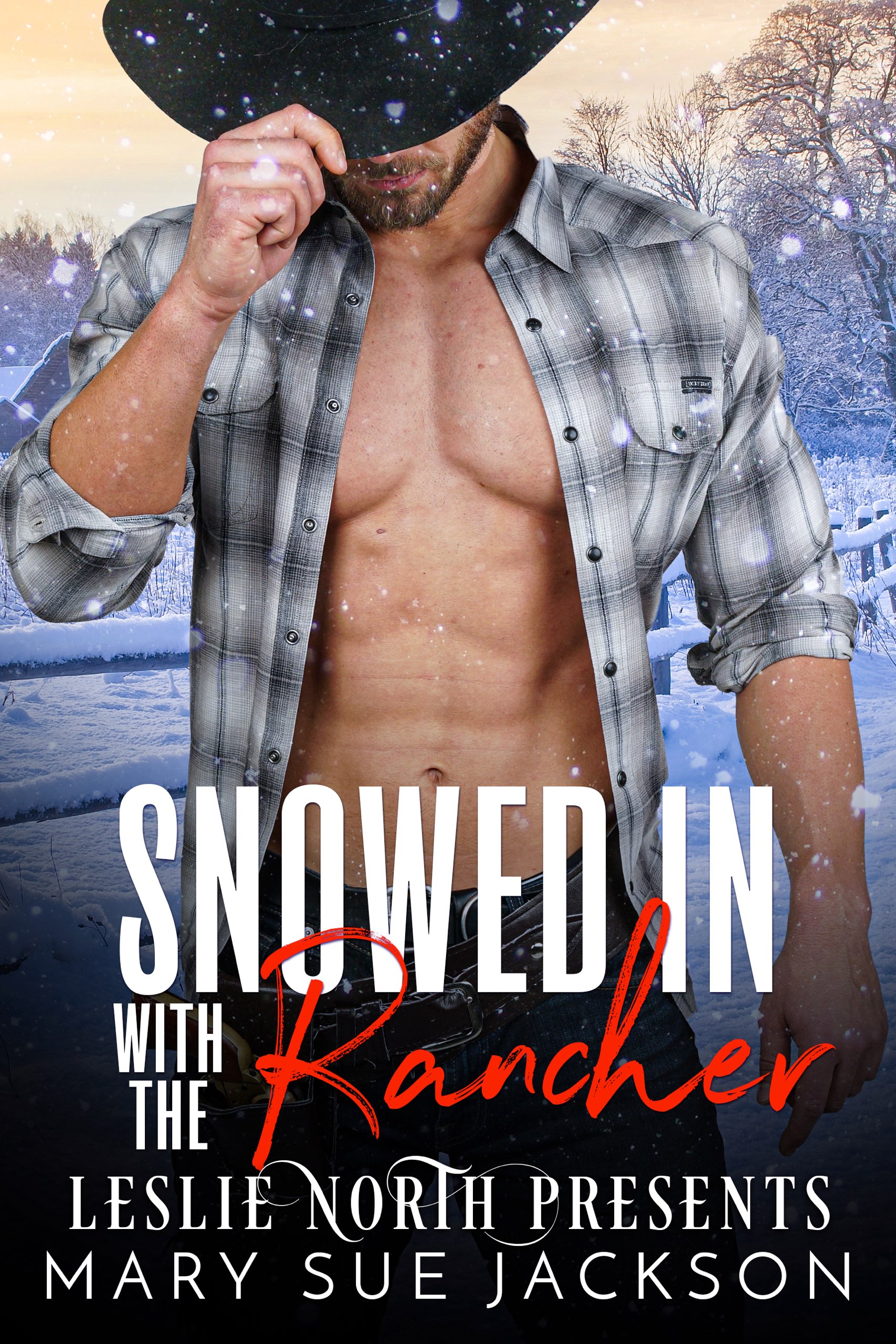 Snowed In With The Rancher book cover
