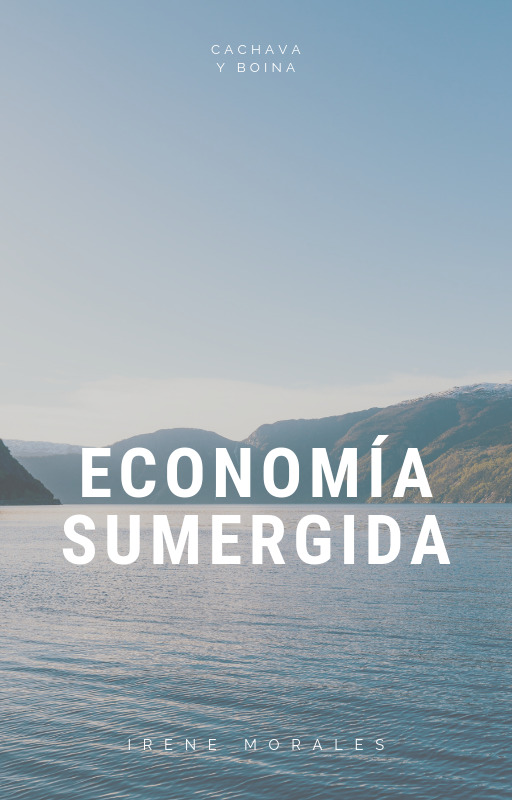 Economía sumergida book cover