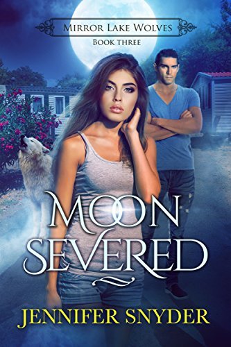Mirror Lake Wolves book cover 3