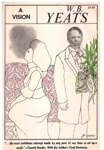 A Vision book cover