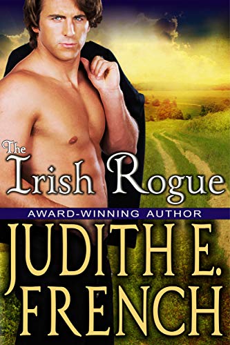The Irish Rogue book cover