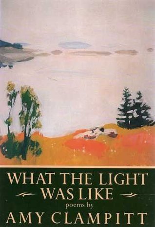 What the Light Was Like book cover