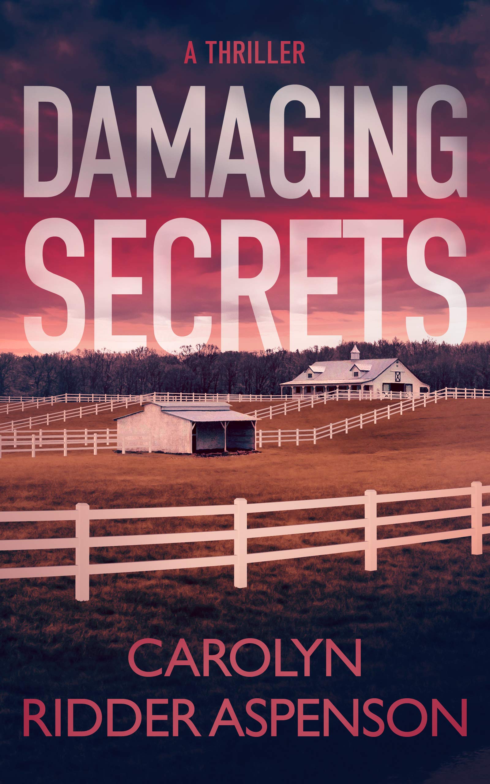 Damaging Secrets book cover