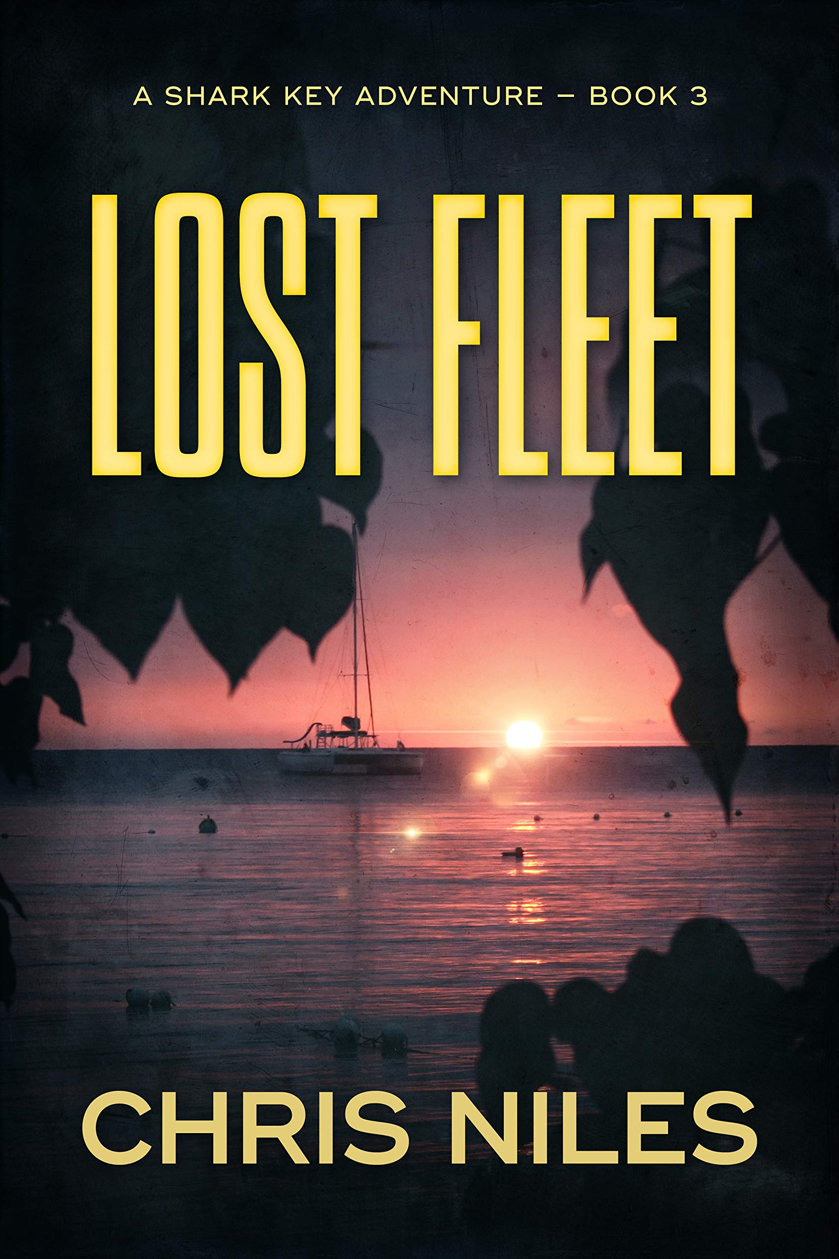 Shark Key Adventures book cover 3