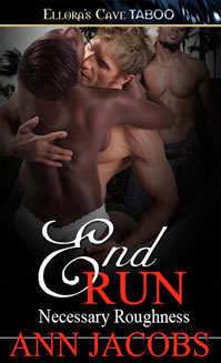 Necessary Roughness book cover 2