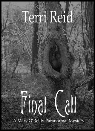 Final Call book cover