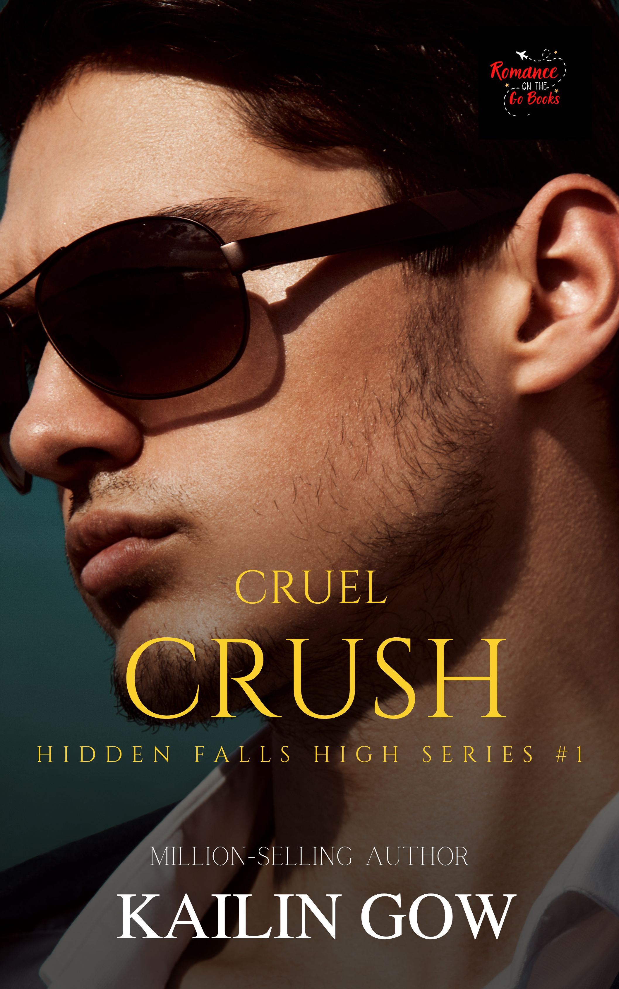 Hidden Falls High book cover 1