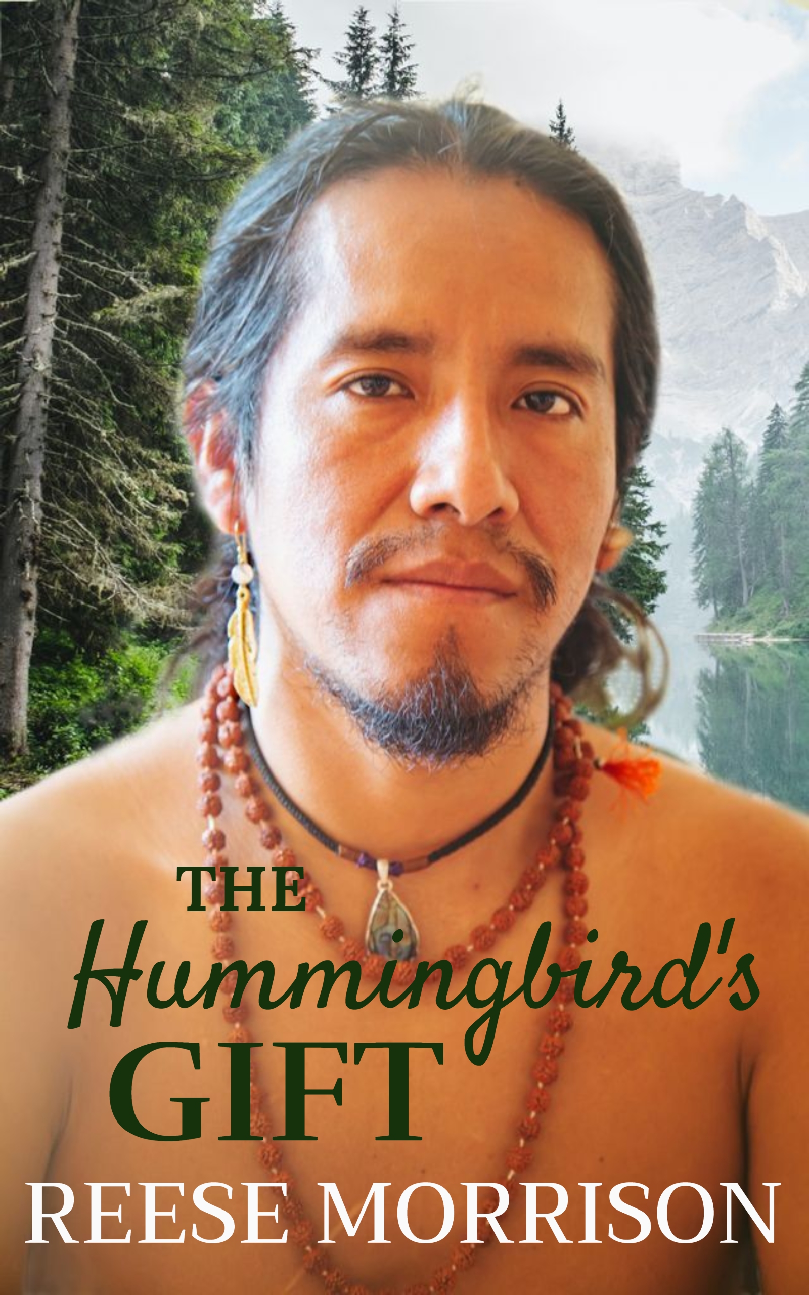 The Hummingbird's Gift book cover