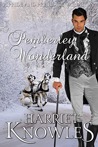 A Pemberley Wonderland book cover