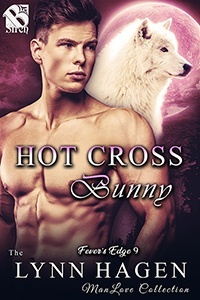 Hot Cross Bunny book cover