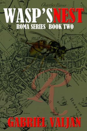 Roma Series Book book cover 2