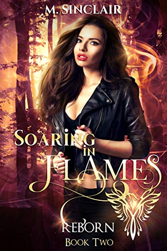 Reborn book cover 2