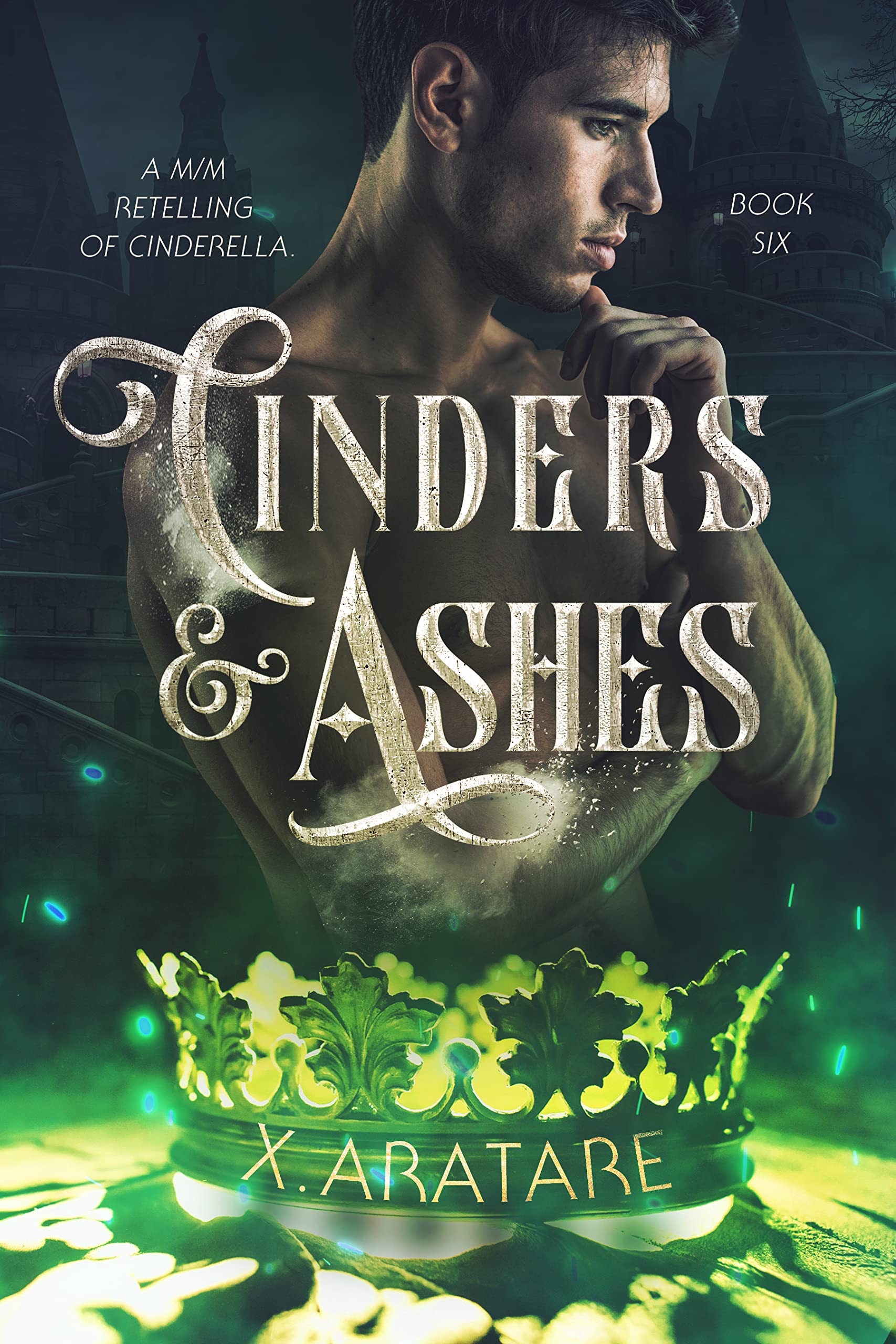 Cinders & Ashes Book Six book cover